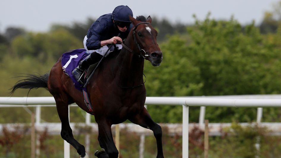 Bolshoi Ballet was in a league of his own at Leopardstown