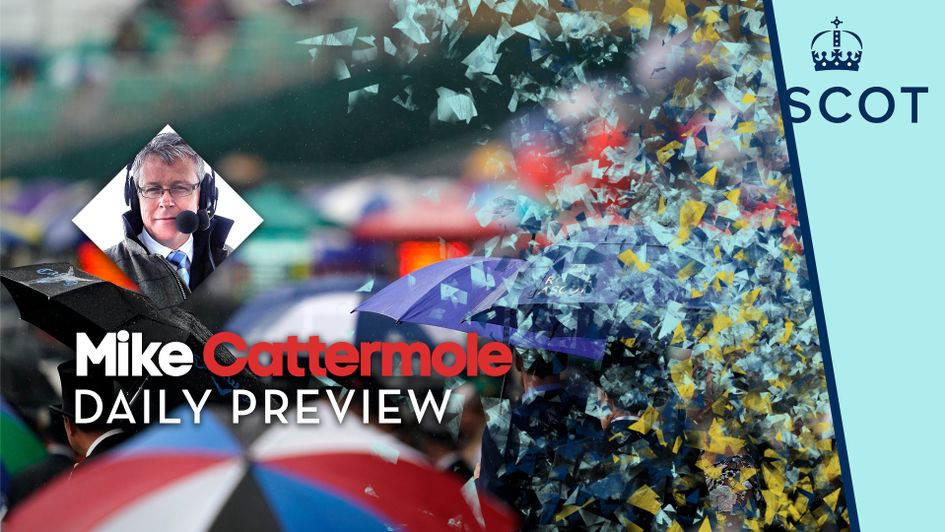 Mike Cattermole previews the latest action