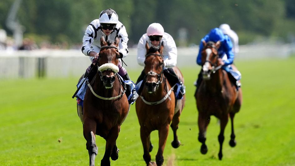 Al Qareem powers home at York