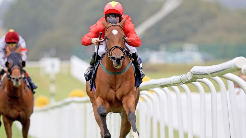 Highfield Princess is out on her own at the Curragh