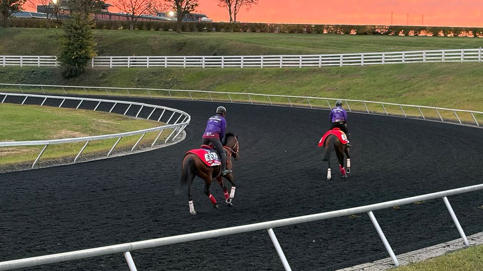 A glorious morning in Keeneland