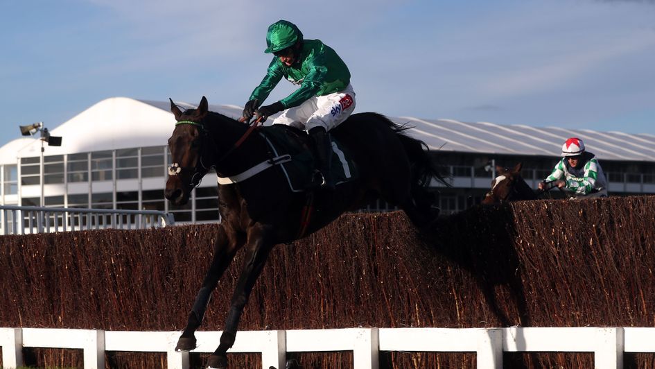 Fusil Raffles impresses at Cheltenham