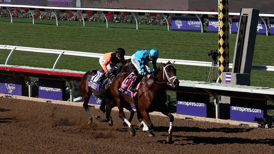 Roy H is back in action this weekend