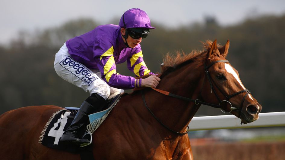 Majestic Dawn bolted up at Salisbury