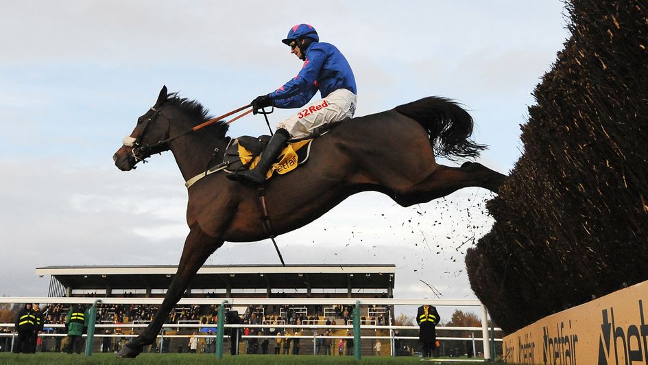 Cue Card: Can land another Betfair Chase