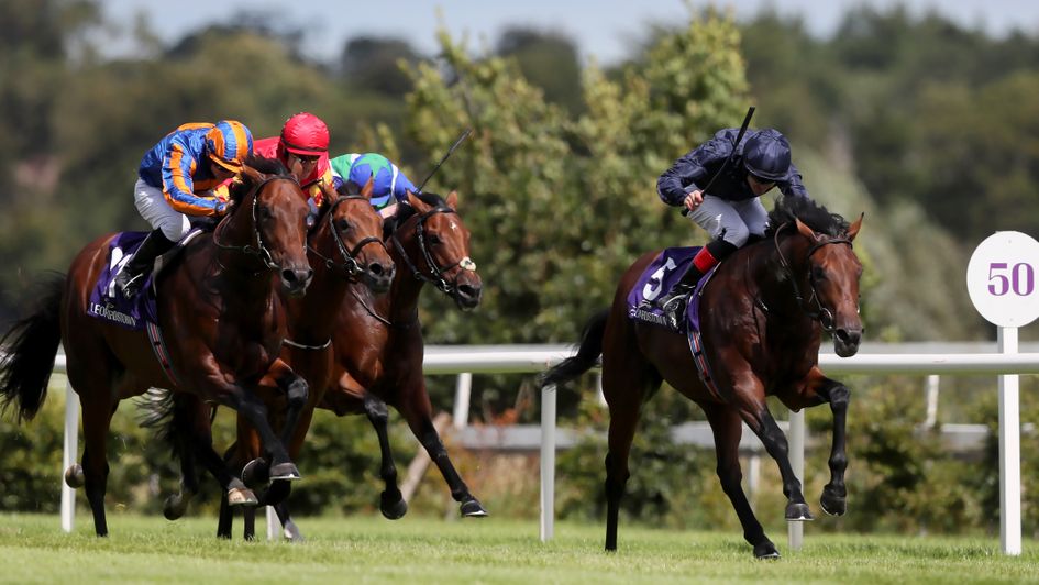 Military Style knuckles down well to win at Leopardstown