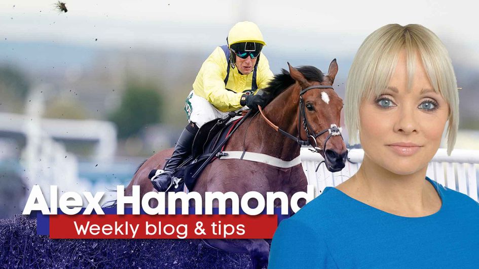 Alex Hammond gives her latest thoughts and tips