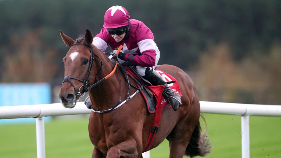 Felix Desjy - impressive winner