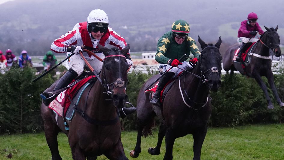Stumptown (centre) winning at Cheltenham