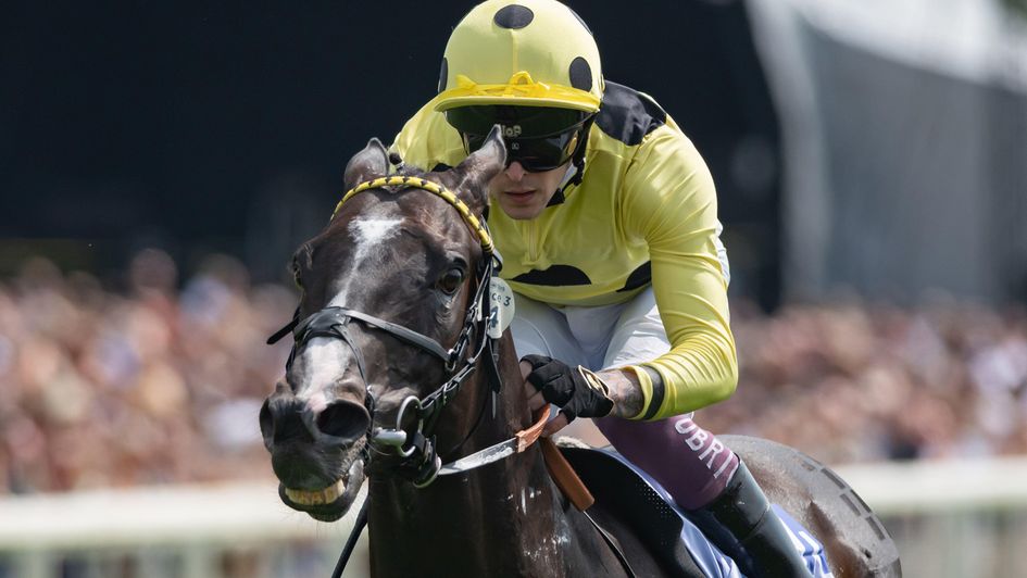 Royal Champion under Clifford Lee