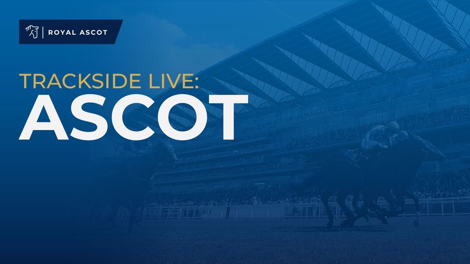 Don't miss what Timeform are saying