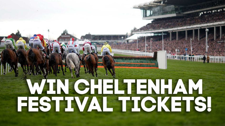 You could win Cheltenham Festival tickets