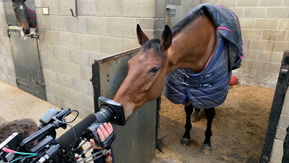 Envoi Allen says hello to our cameraman