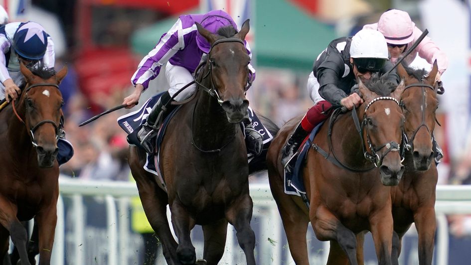 Pink Dogwood (purple and white silks)