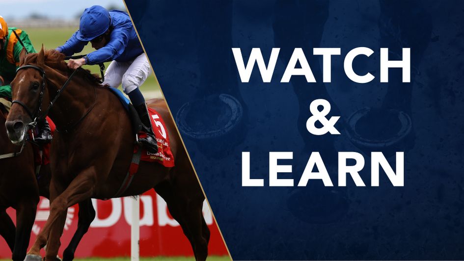 Hurricane Lane earned a 3lb upgrade over Lone Eagle