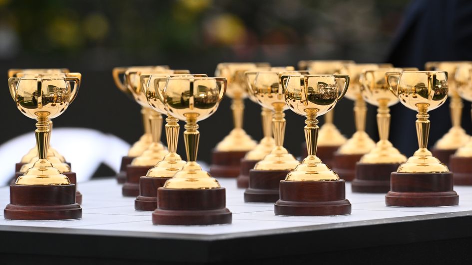 General view of the Melbourne Cup barrier draw
