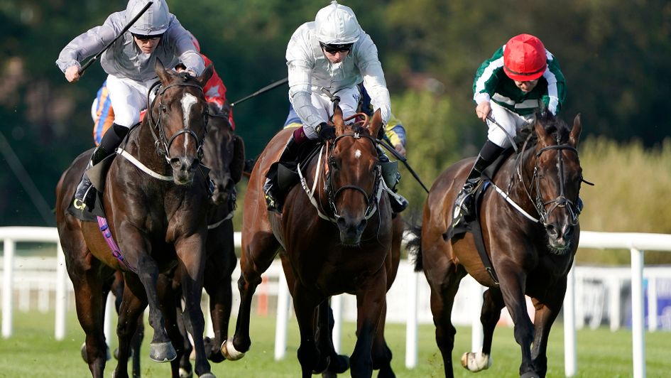 Space Traveller (left) won the Boomerang