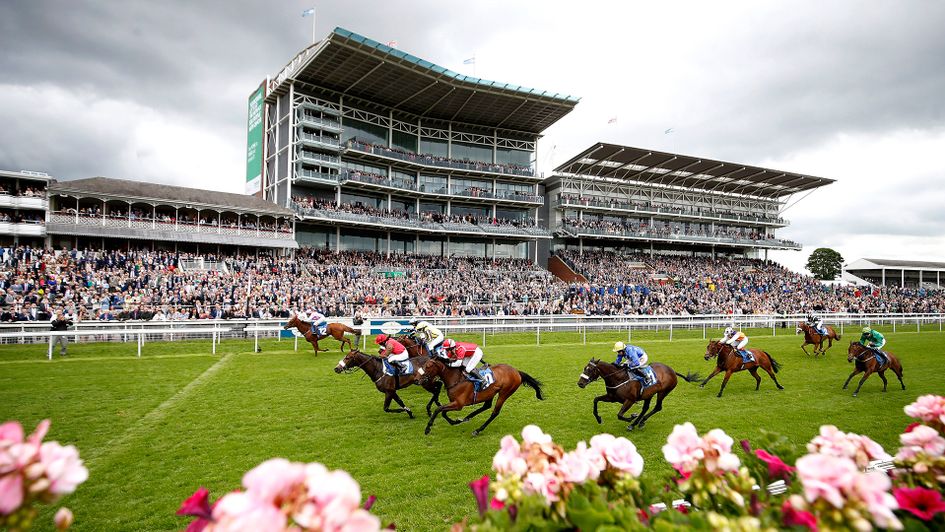Arctic Fox (far side) wins at York