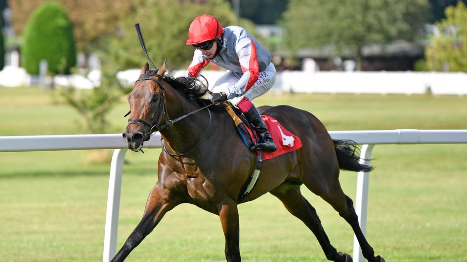 Ubettabelieveit wins the National Stakes