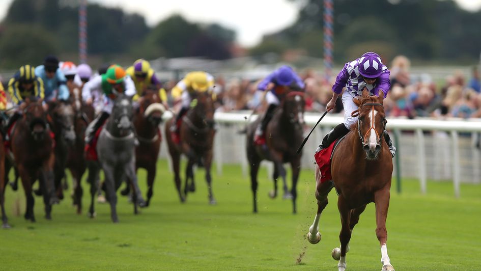 Mums Tipple is in a different class to his rivals at York