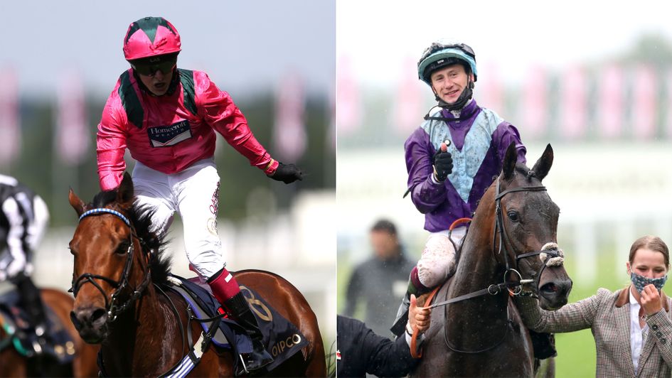 Oxted (left) and Alcohol Free are expected to compete at Newmarket