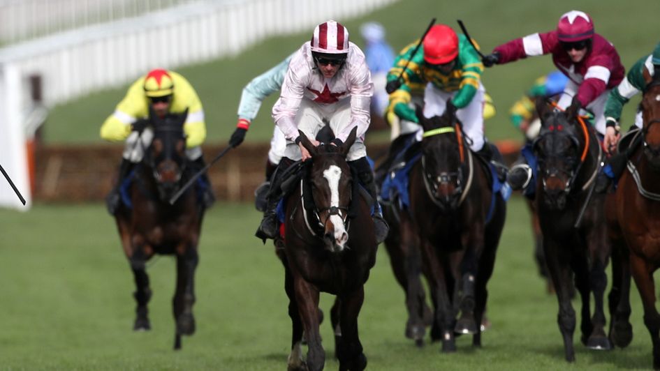 Black Tears was second in the Coral Cup at Cheltenham last season