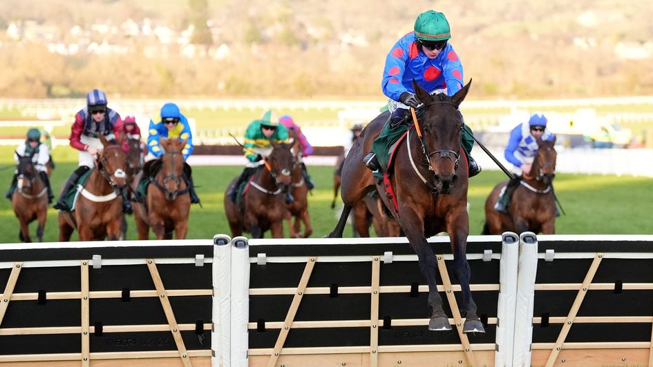 Wodhooh jumps the last at Cheltenham