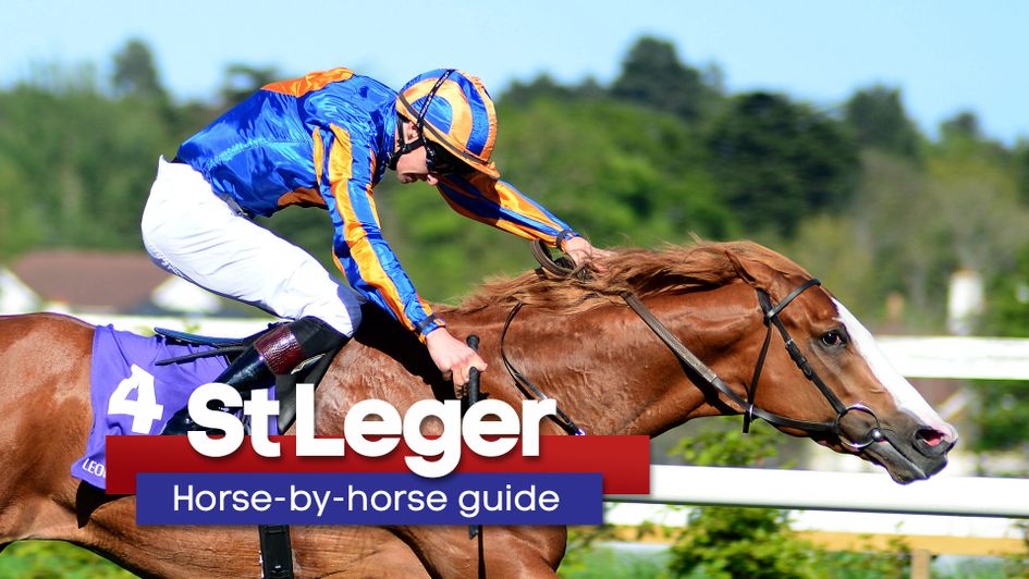 Il Paradiso can serve it up to Logician, according to David Ord