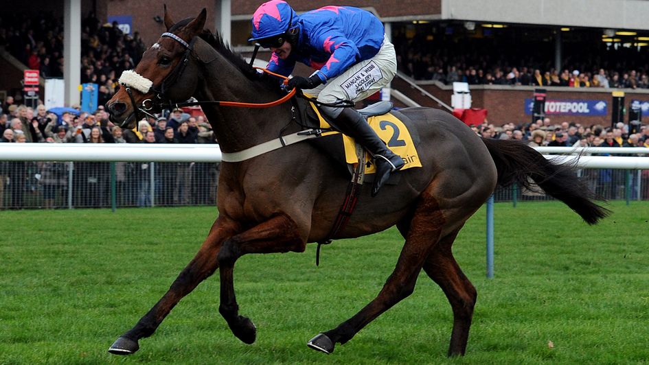 Cue Card wins the 2013 Betfair Chase