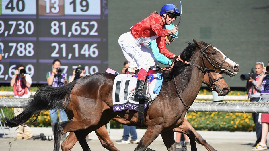 Queen's Trust wins at the Breeders' Cup
