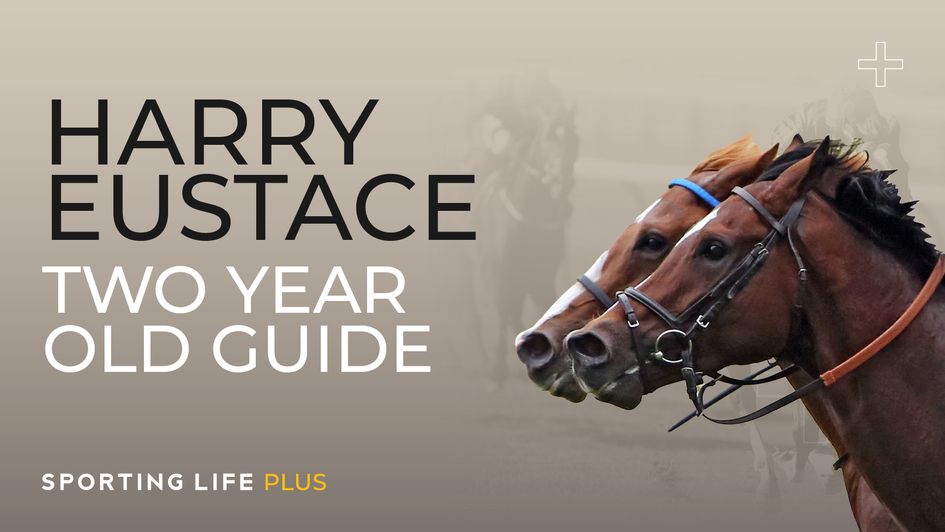 Harry Eustace Two-Year-Old Guide