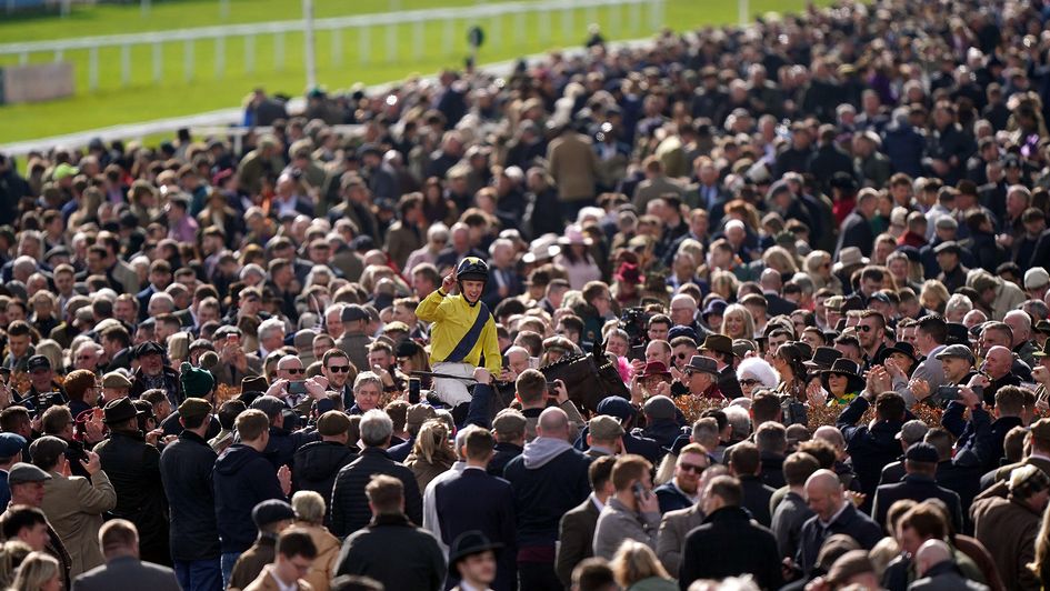 Michael O'Sullivan makes his way through the Cheltenham crowds on Marine Nationale