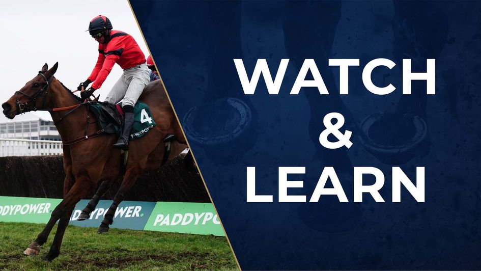 Ahoy Senor makes no appeal at 10/1 for the Gold Cup