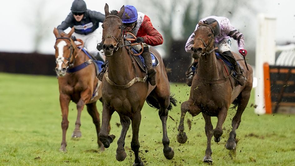 Rose Of Arcadia ridden by jockey Jonjo O'Neill Jr.