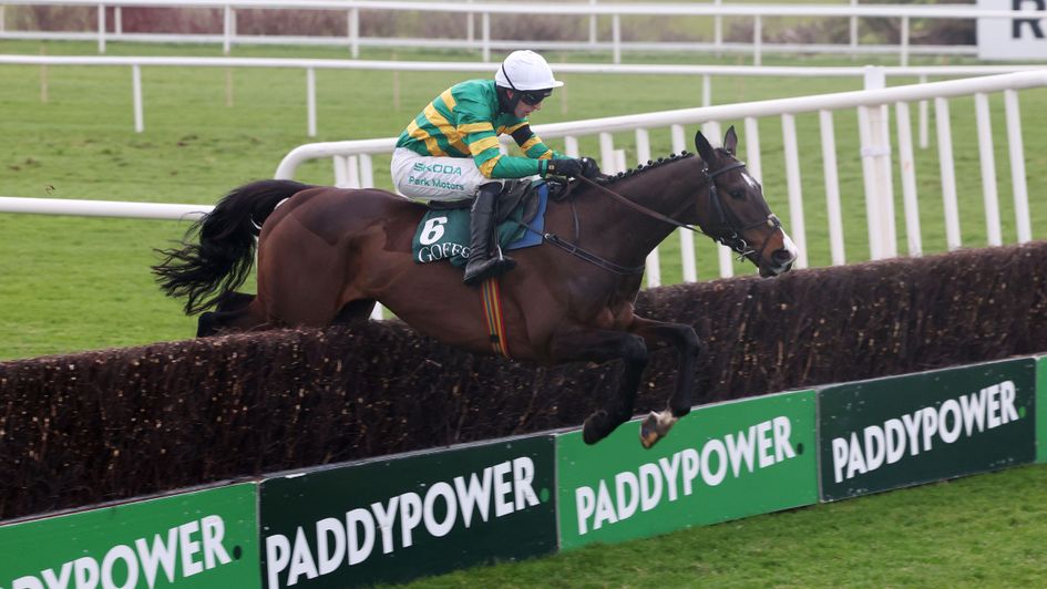 Majborough wins the Irish Arkle