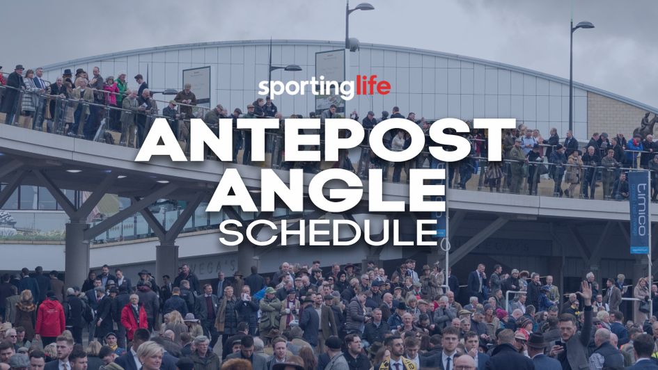 Find out which Festival races will be previewed when