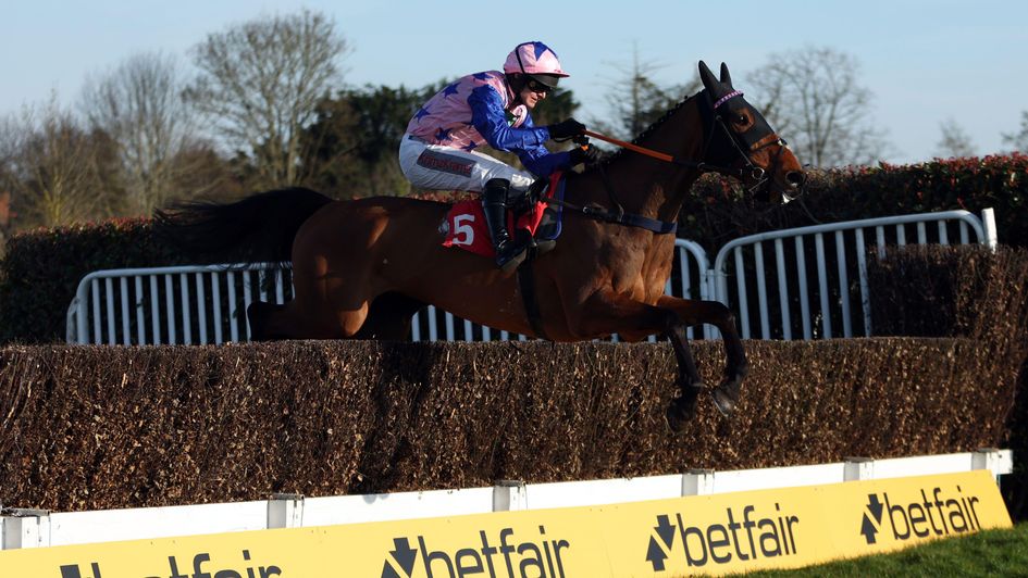 New Order on the way to victory