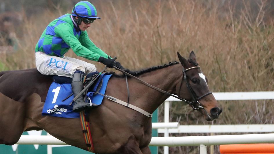 Appreciate It and Paul Townend on their way to victory