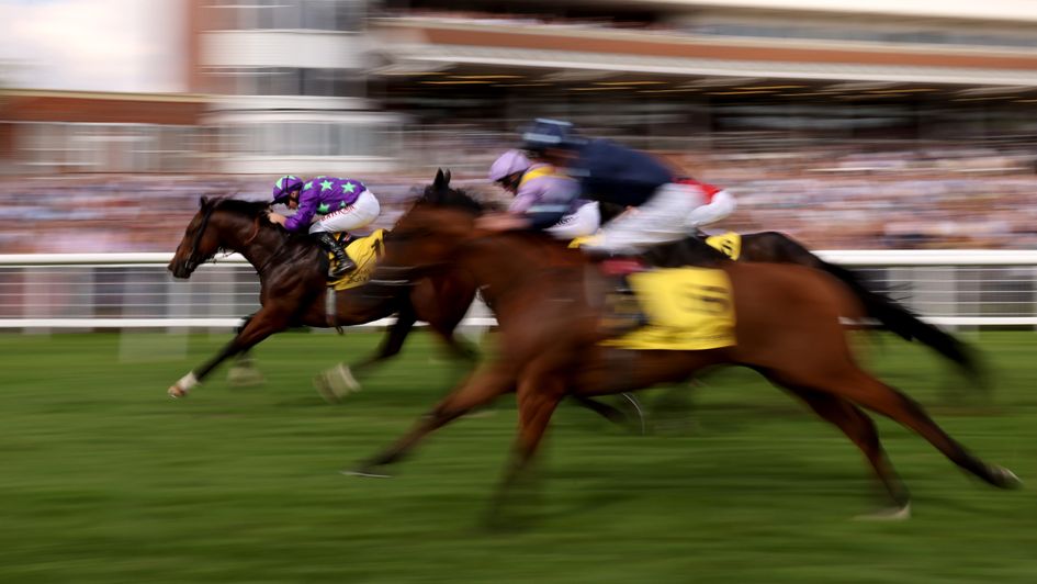 Hurricane Ivor swoops to win at Newbury