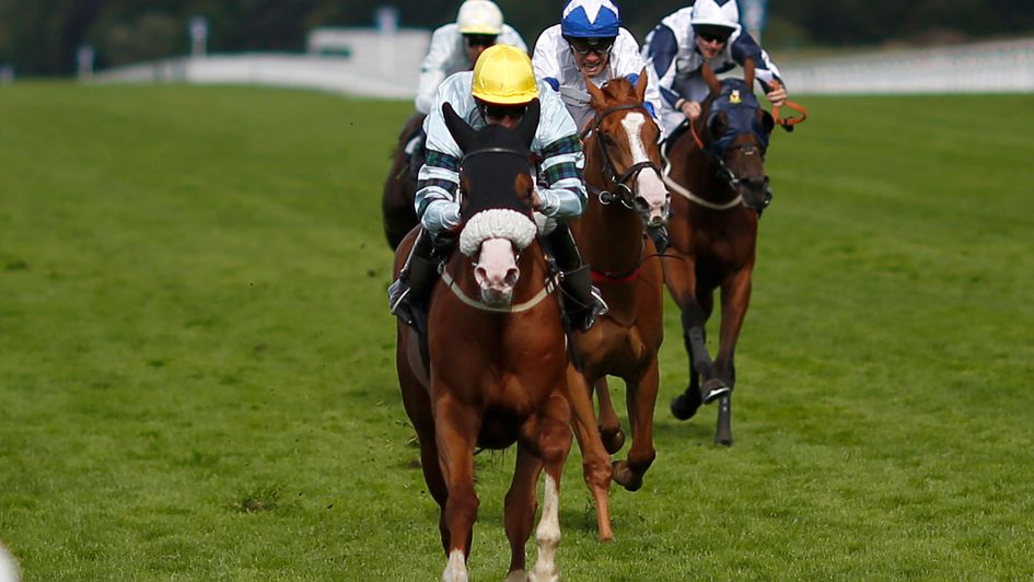 Duretto - ruled out of Melbourne Cup