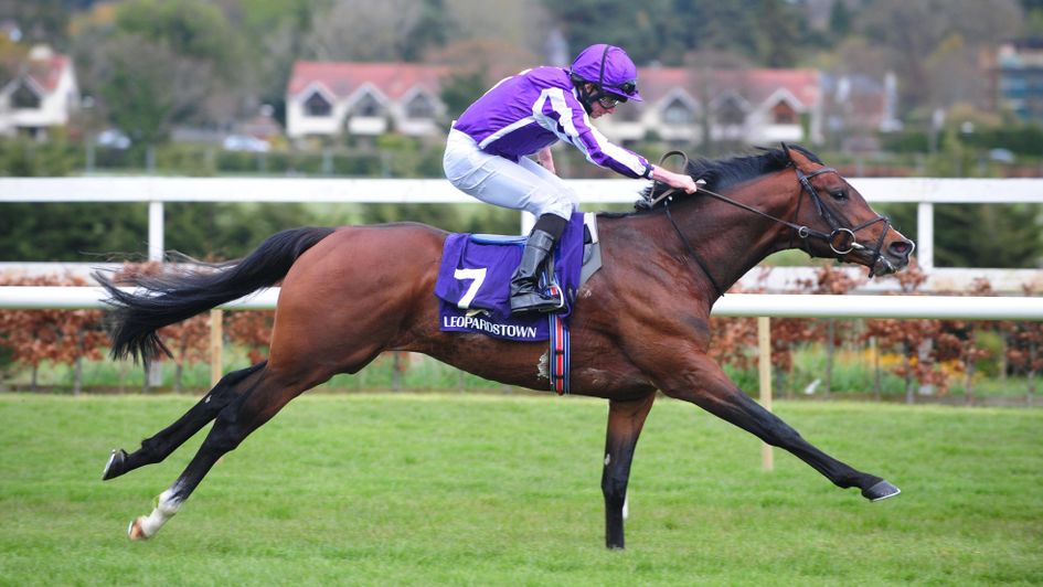 Sir Lamorak - Group horse in a handicap?