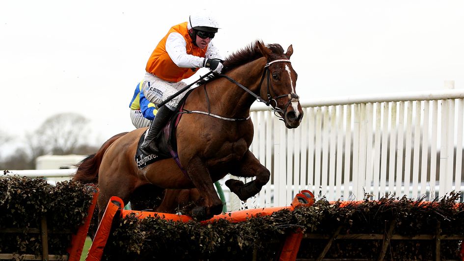 Decor Irlandais - Cheltenham target decided