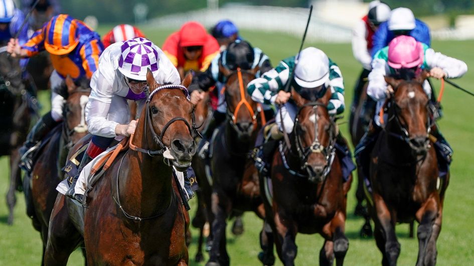 Sunday Deauville Preview And Tips View From France Poetic Licence