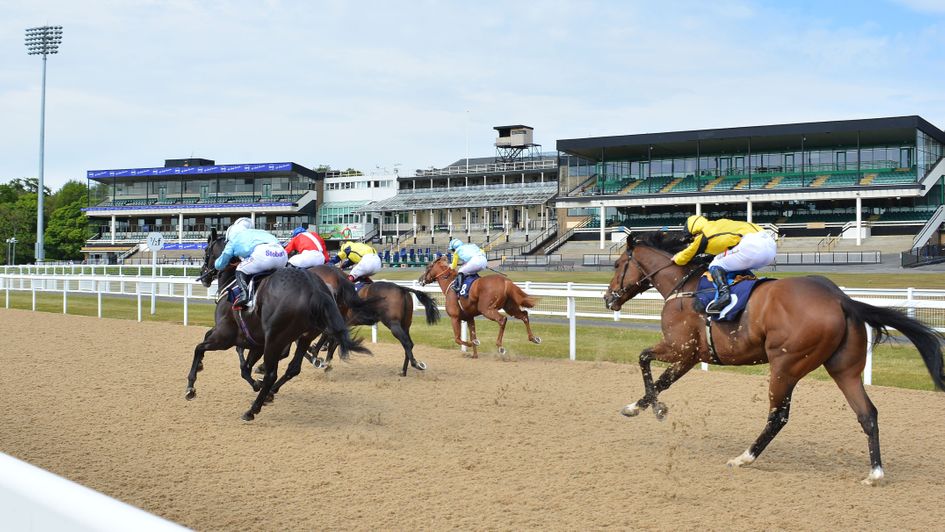 All-Weather Finals Day is staged at Newcastle this season