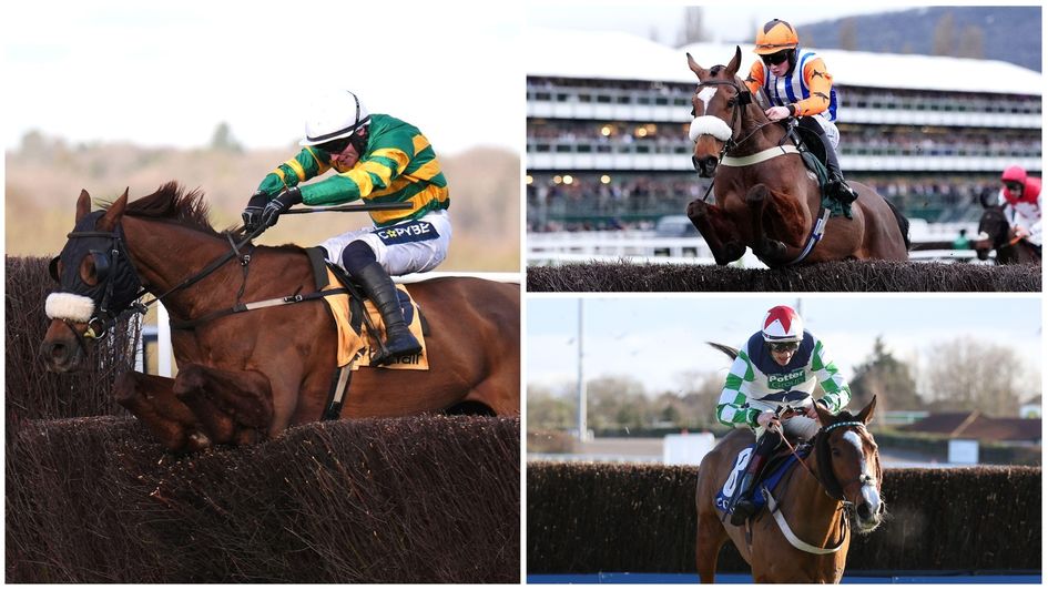 Scottish Grand National horse-by-horse guide
