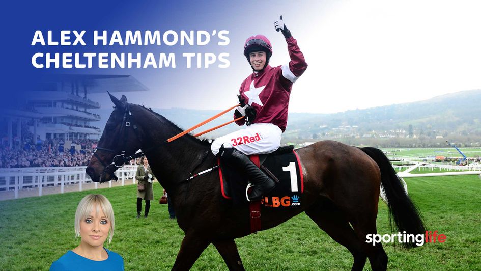 Check out who Alex Hammond is backing at Cheltenham