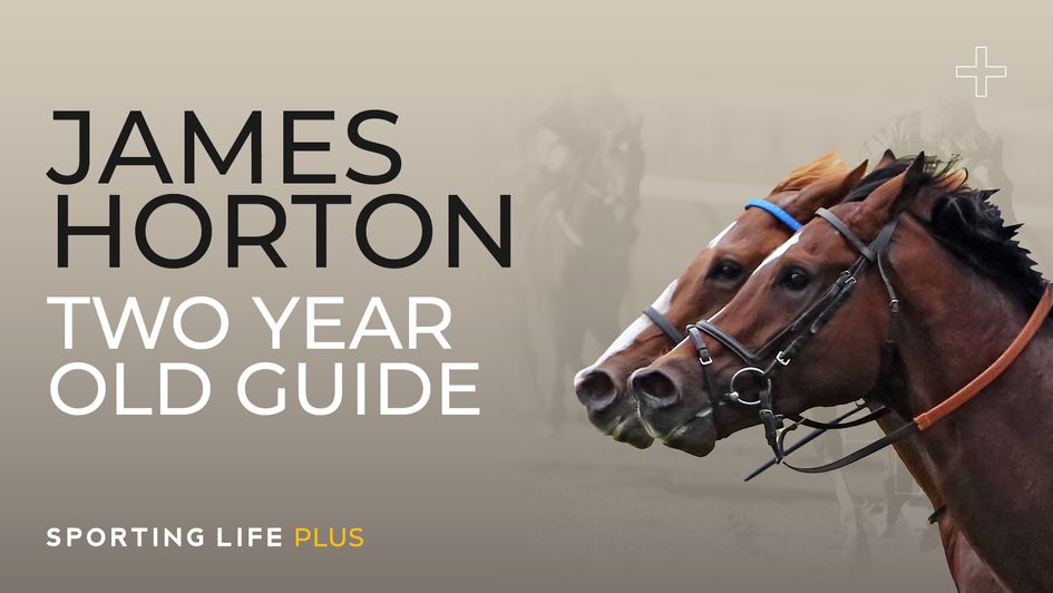James Horton Two-Year-Old Guide