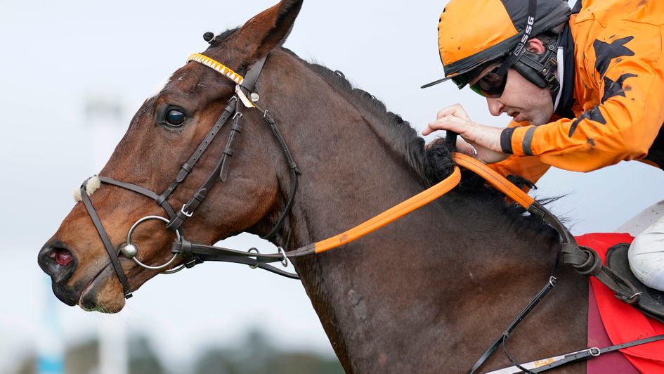 Put The Kettle On battles to victory at Cheltenham