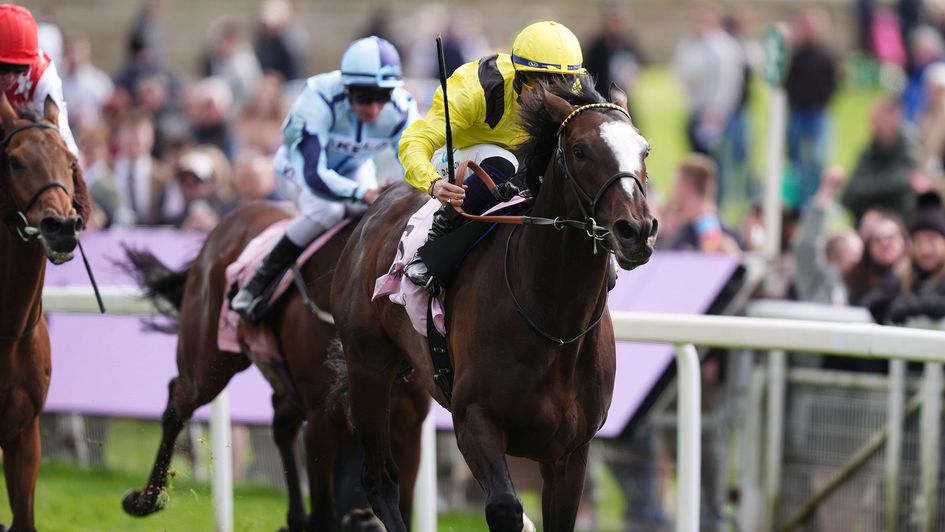 Rahiebb and Ray Dawson come clear in the Yorkshire Cup