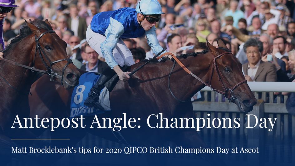 Persian King is backed in the Champion